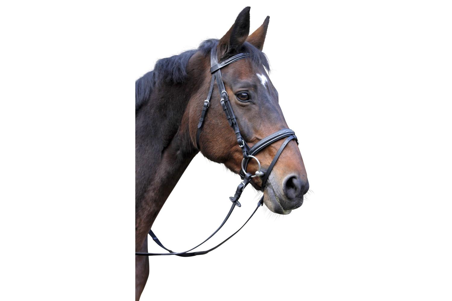Kerbl Ker-324913 - Leather Bridle, Classic Brown, Full