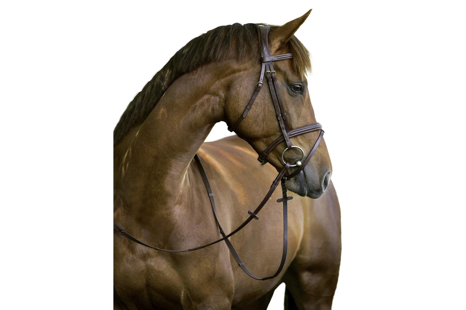 Kerbl Ker-324912 - Leather Bridle, Classic Brown, Cob-2