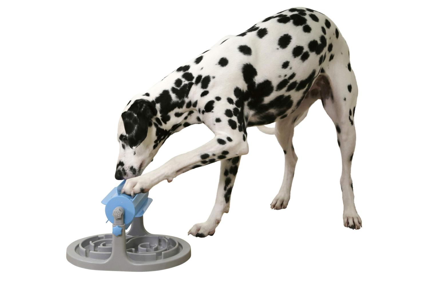 Kerbl Pet Ker-80812 - Snack Roll Anti-gobble Grey/blue, 27 X-2