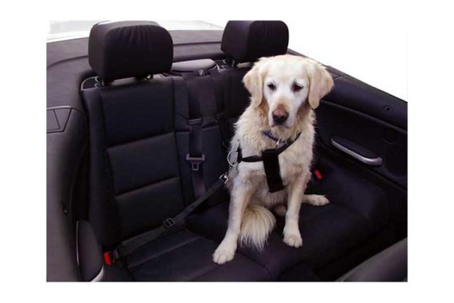Kerbl Ker-83254 - Car Dog Harness Size M, Black Adjustable