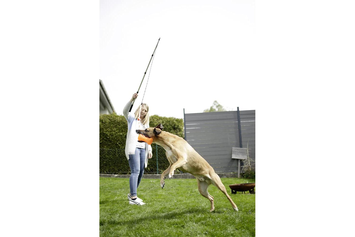 Kerbl Pet Ker-81995 - Playing Fishing Rod Ca. 47-130cm-3