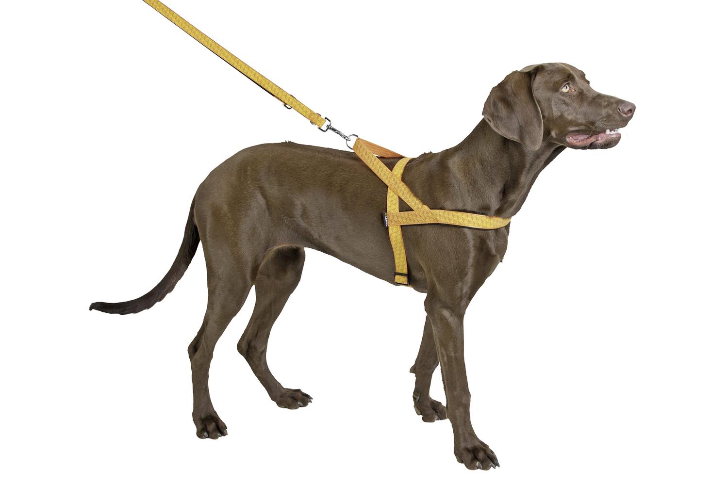 Kerbl Ker-81061 - Reflective Norwegian Harness 25mmx80-100cm-2