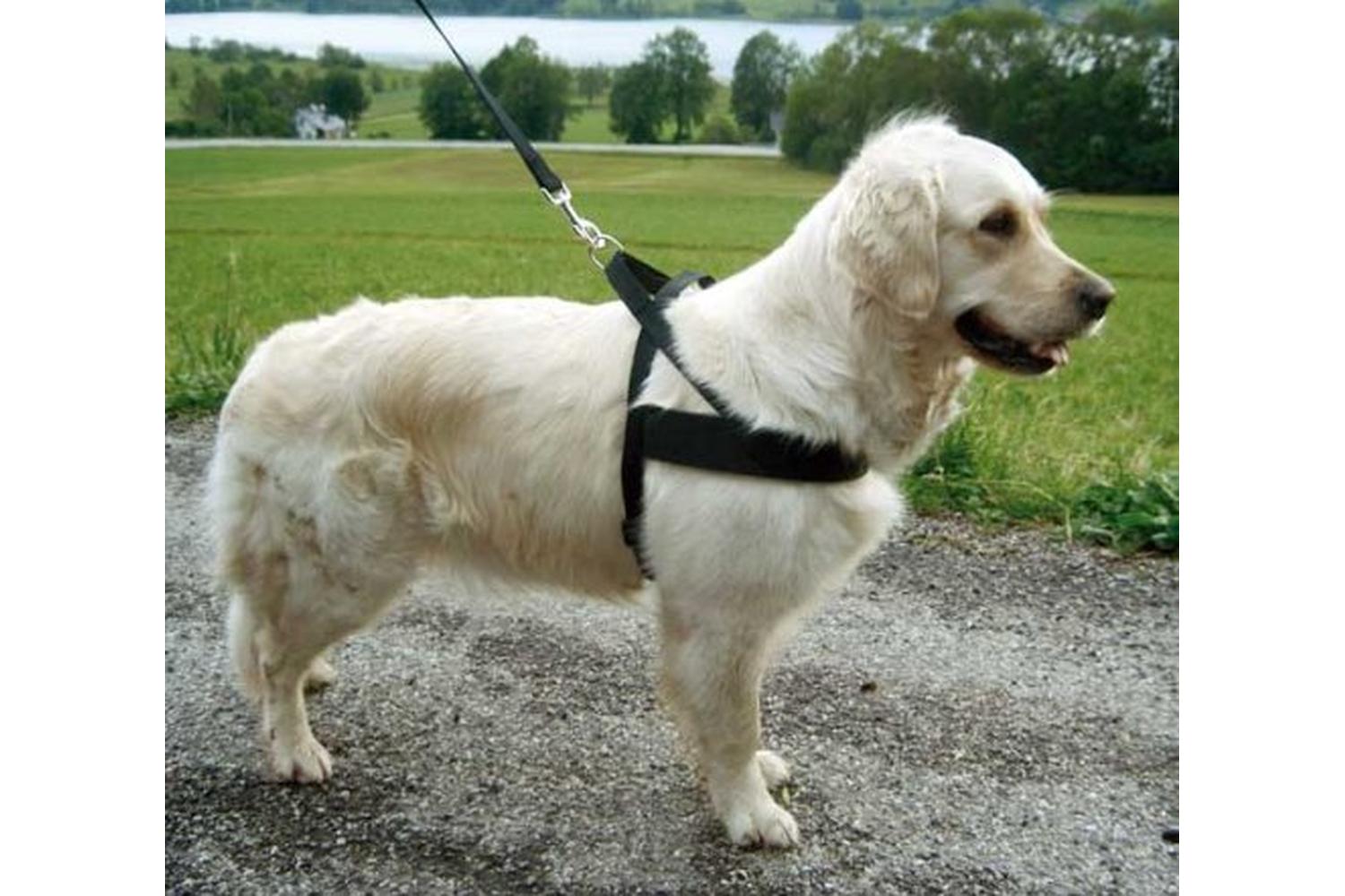 Kerbl Ker-83941 - Miami Plus Dog Harness Grith 65-85cm-2