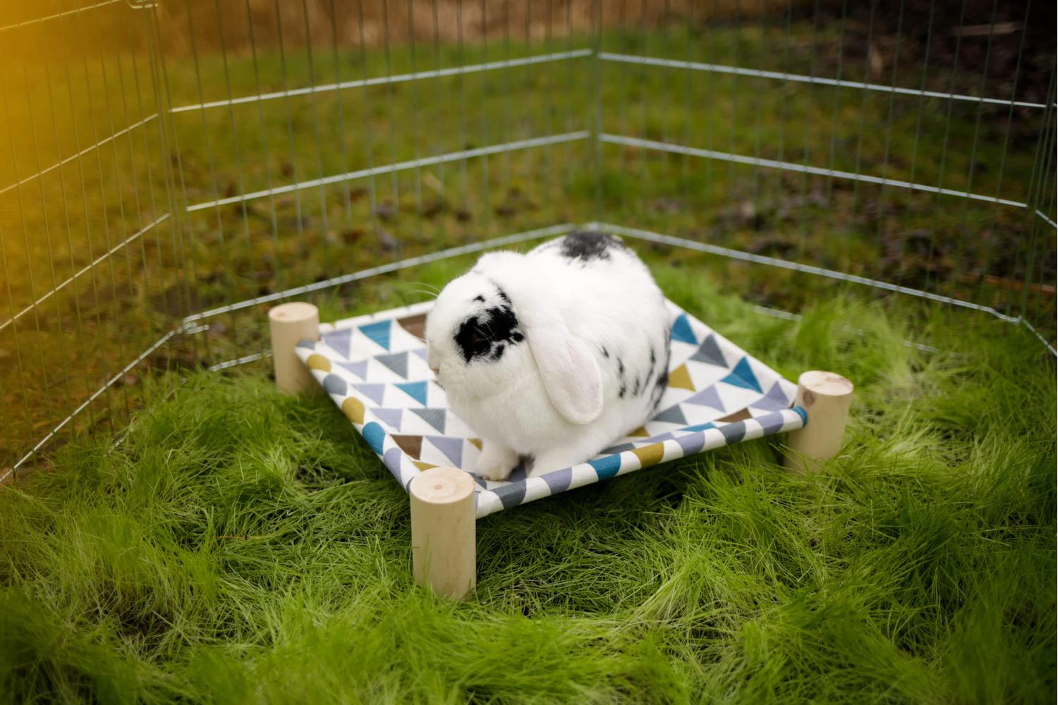 Kerbl Pet Ker-81811 - Hammock For Rodents 38x38 Cm-2