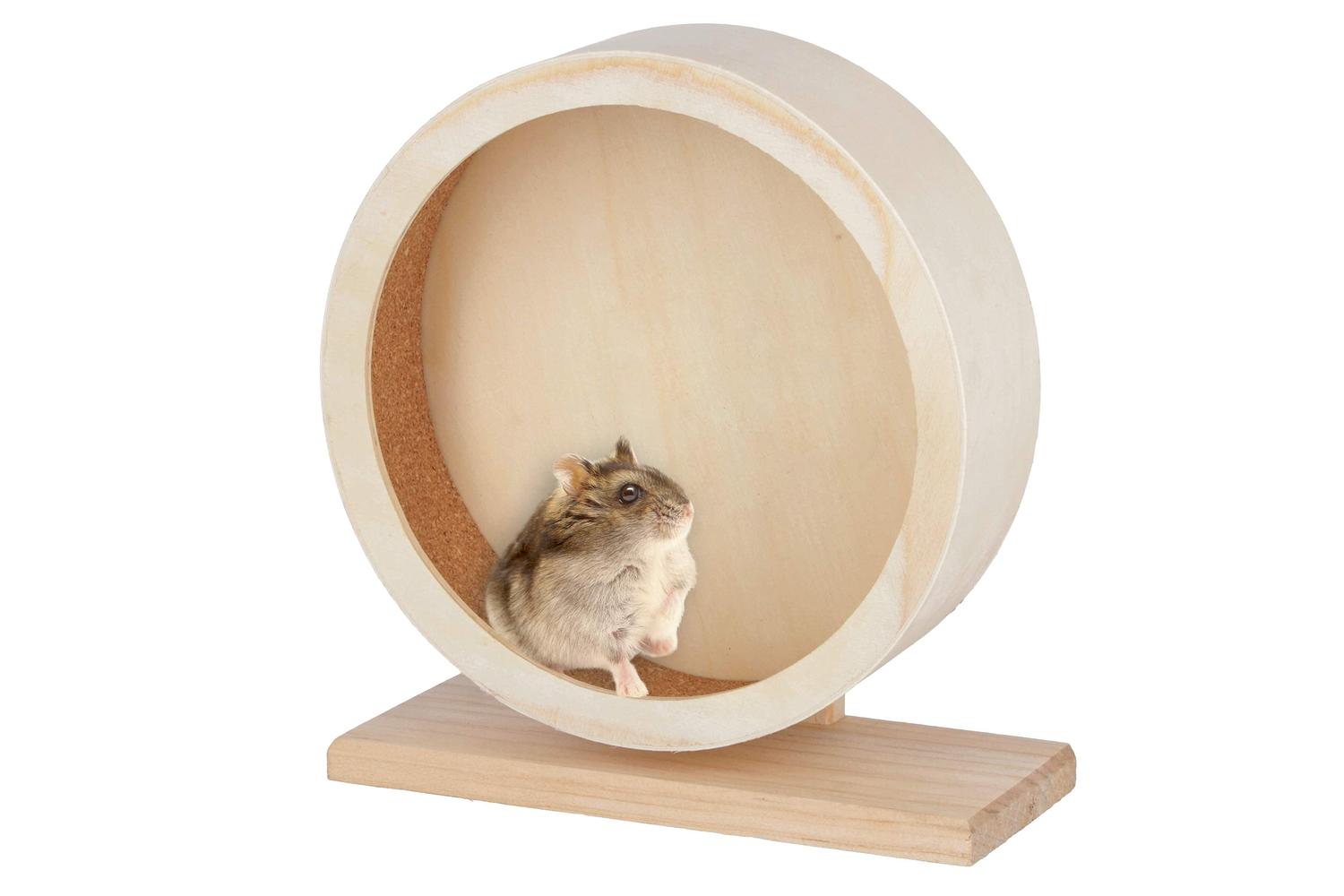 Kerbl Ker-81787 - Hamster Wheel Wood/kork 22cm,brown Carton-2