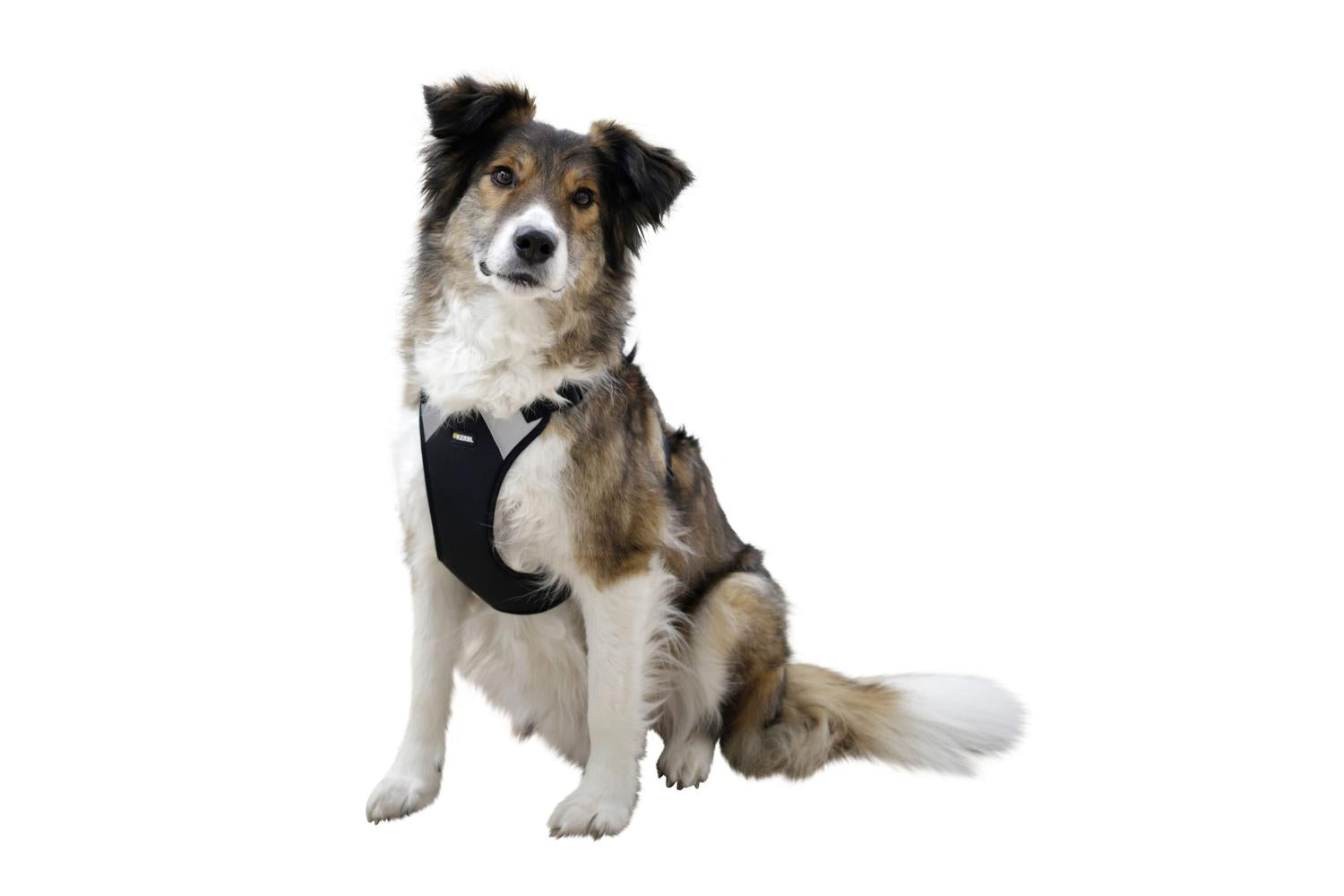 Kerbl Pet Ker-80683 - Dog Harness Pulsive,-2