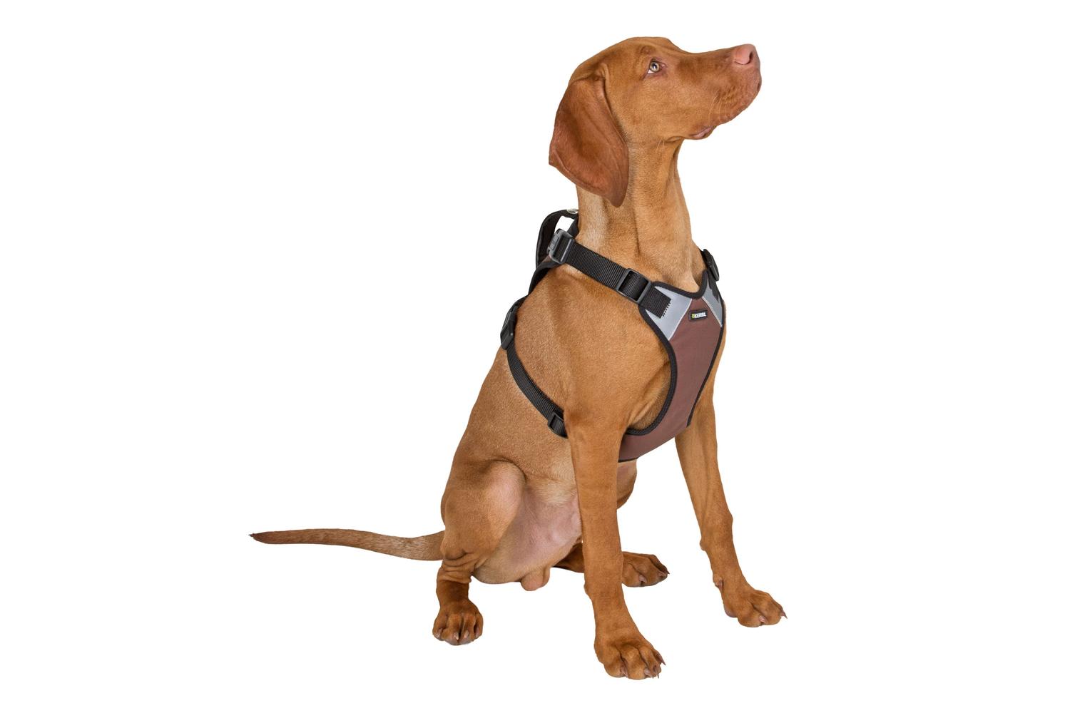 Kerbl Pet Ker-81020 - Harness Pulsive Brown 50-62cm, 56-74cm-3