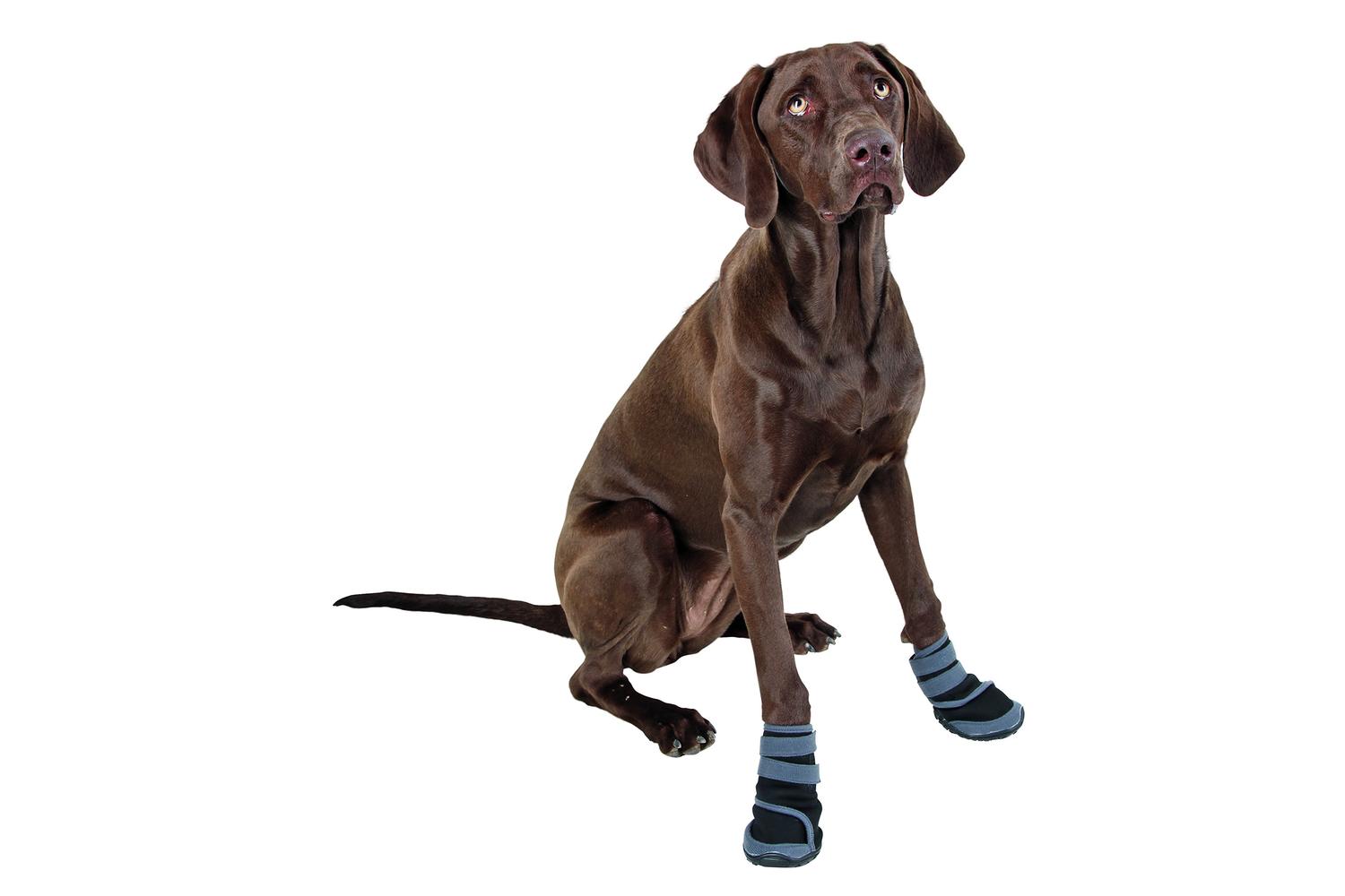 Kerbl Ker-80604 - Paw Protection Active Xs, Gray/black-2
