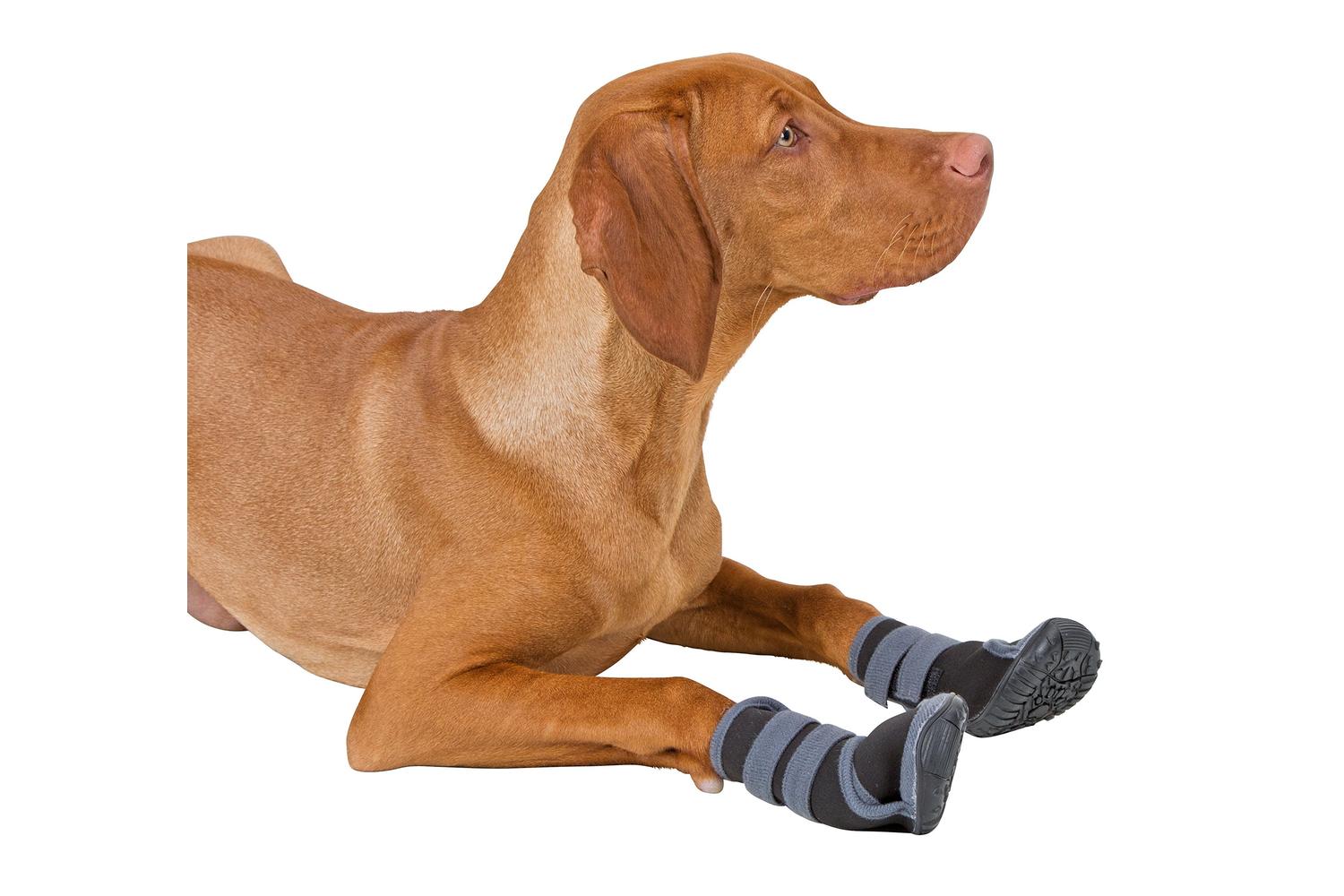 Kerbl Ker-80604 - Paw Protection Active Xs, Gray/black-3