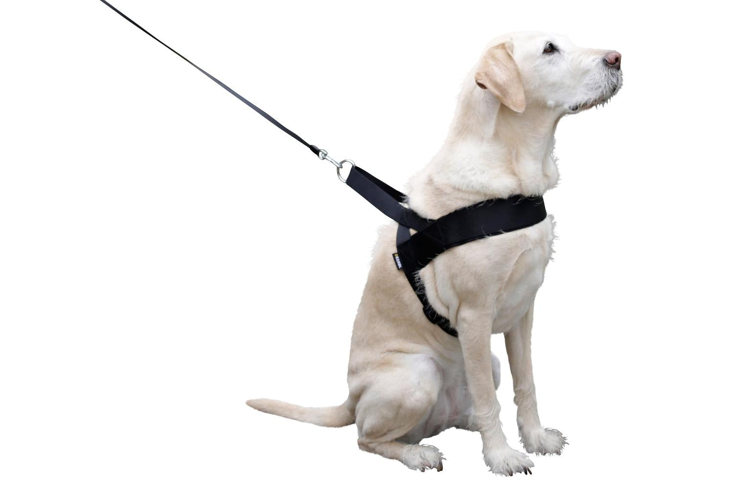 Kerbl Pet Ker-83940 - Miami Plus Dog Harness Grith 60-75cm