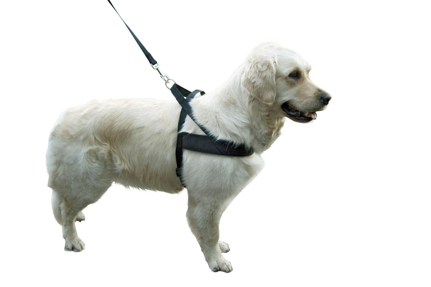Kerbl Pet Ker-83940 - Miami Plus Dog Harness Grith 60-75cm-2