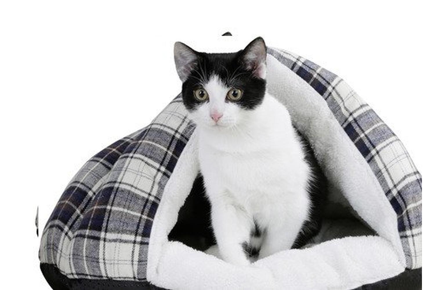 Kerbl Ker-81617 - Cosy Cave Milky 50x40x30cm-2