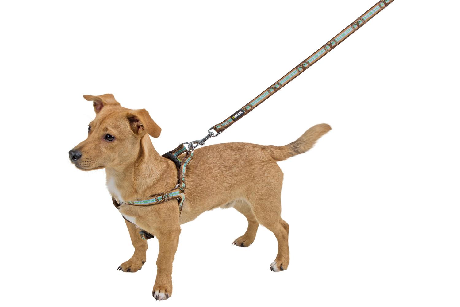 Kerbl Pet Ker-80270 - Harness Wild Life Brwon, 35-60cm/20mm-2
