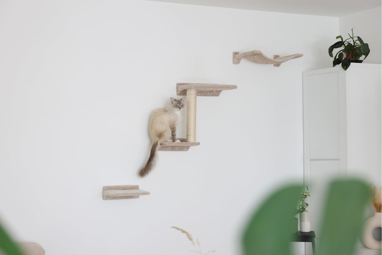 Kerbl Pet Ker-81632 - Climbing Wall Zugspitze For Cats, 5-pc-2