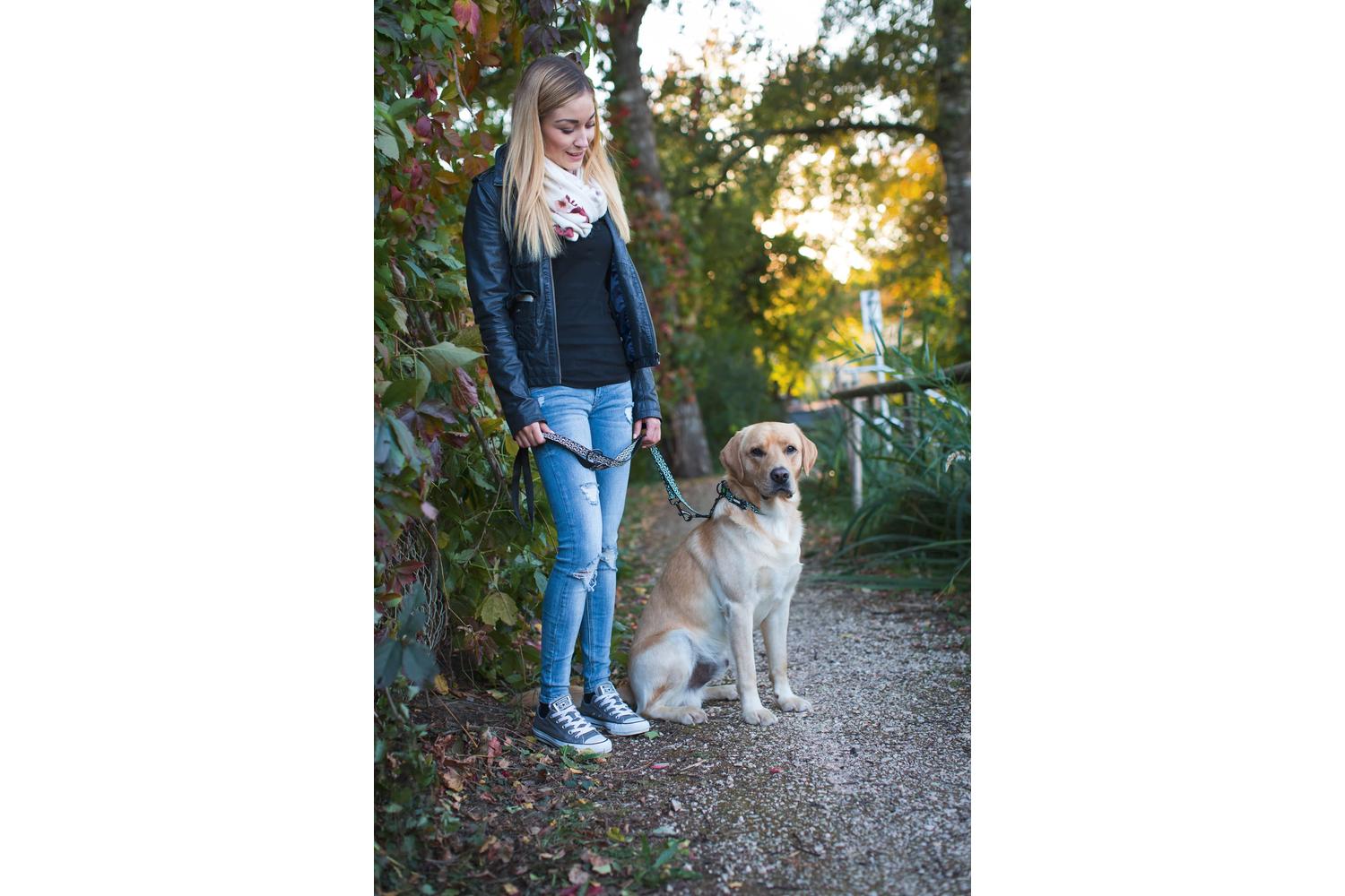 Kerbl Pet Ker-81051 - Lead Shiny Night 20mmx200cm-2