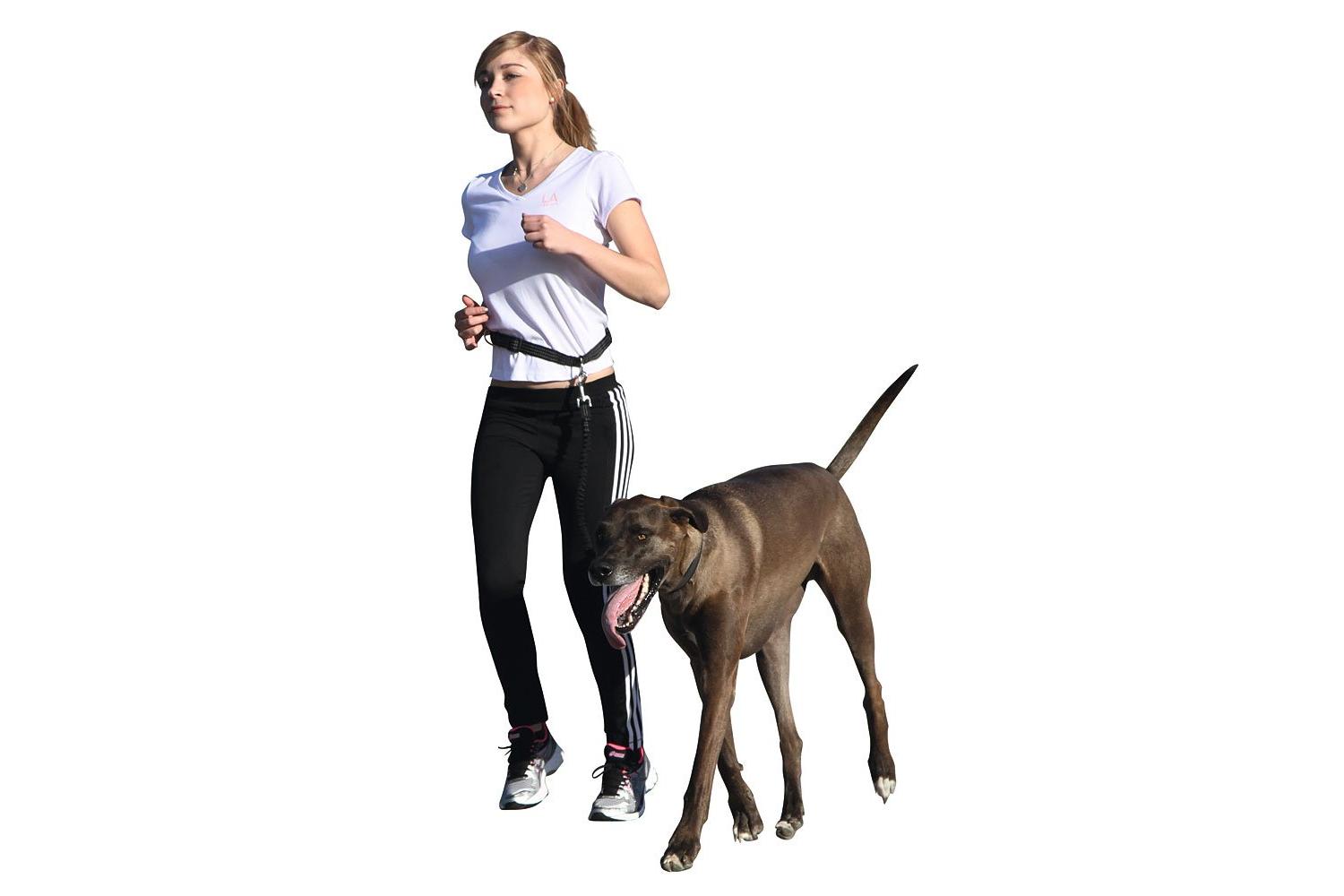 Kerbl Pet Ker-81181 - Running Leash With Adjustable Waist Be-2