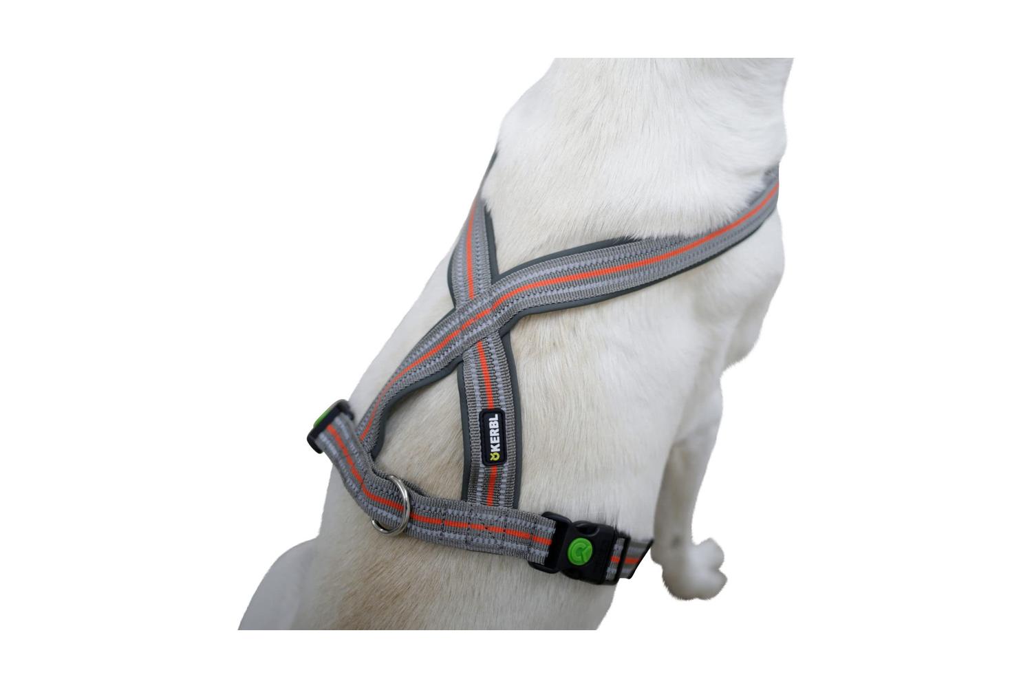 Kerbl Pet Ker-80681 - Harness Xenos 25 Mm X 50-80cm,-2