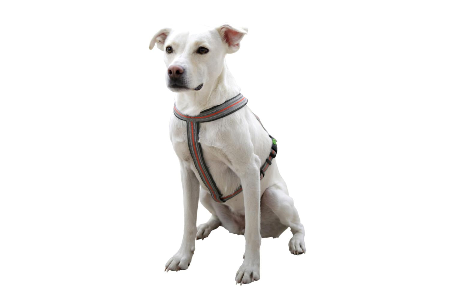Kerbl Pet Ker-80681 - Harness Xenos 25 Mm X 50-80cm,-3