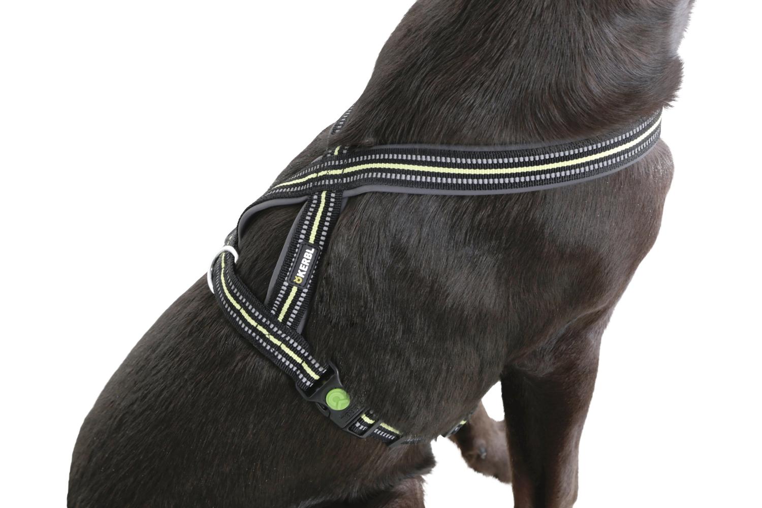 Kerbl Ker-80236 - Reflective Padded Harness 25*50-80cm, Blac