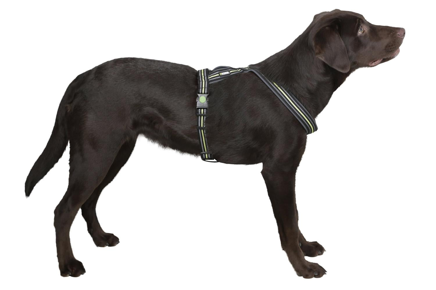 Kerbl Ker-80236 - Reflective Padded Harness 25*50-80cm, Blac-2