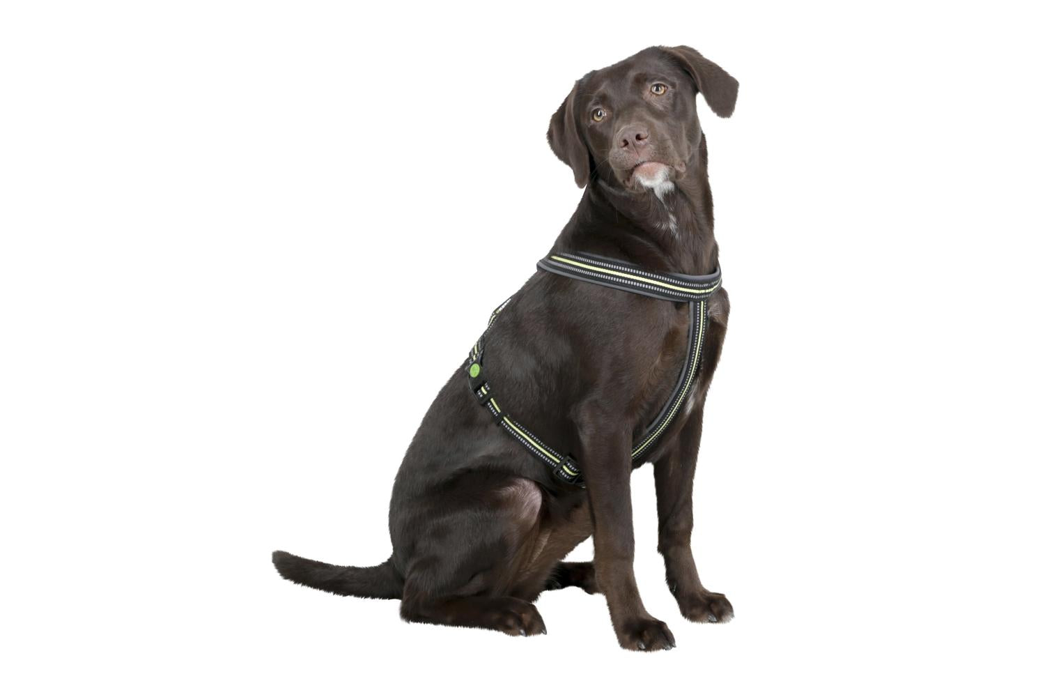 Kerbl Ker-80236 - Reflective Padded Harness 25*50-80cm, Blac-3