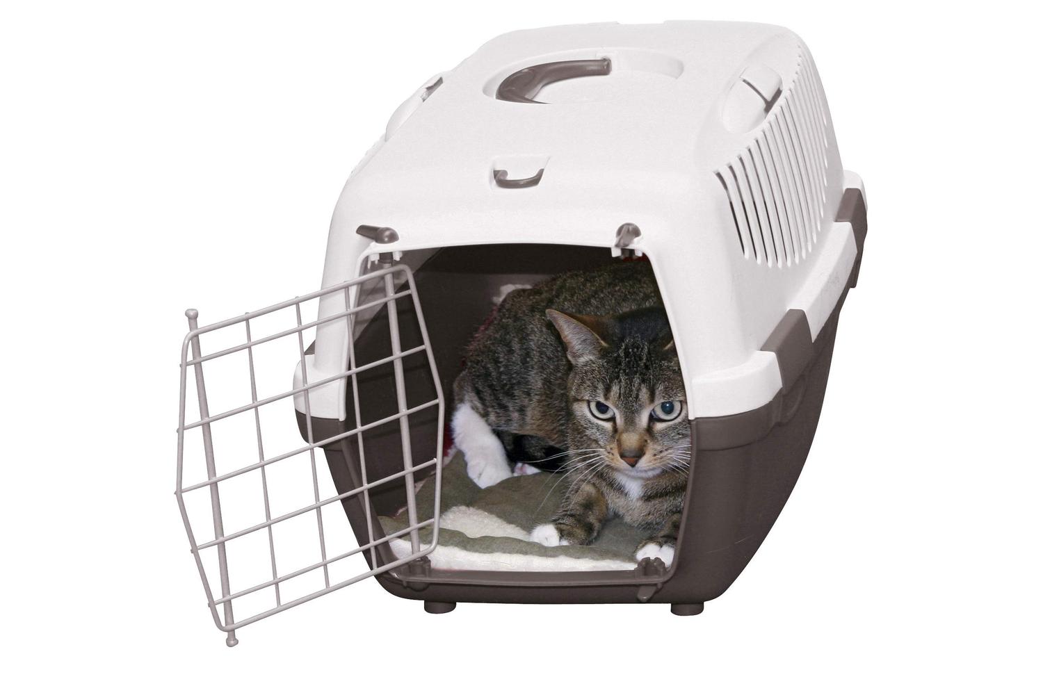 Kerbl Pet Ker-82425 - Cushion 74 X 43 Cm-2