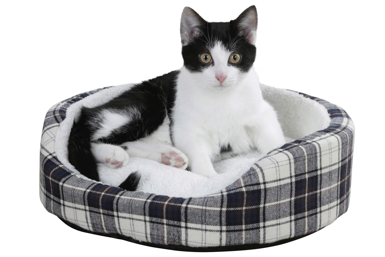 Kerbl Ker-81616 - Cosy Bed Milky, 40cm High 12cm-2