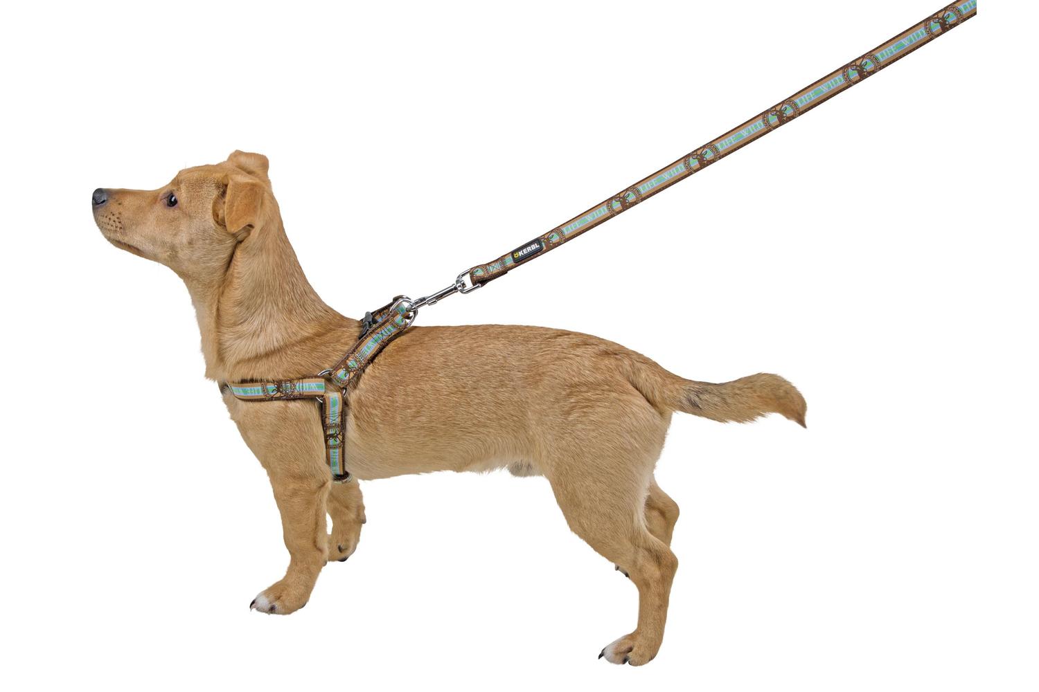 Kerbl Pet Ker-80269 - Harness Wild Life Brwon, 25-45cm/20mm-3