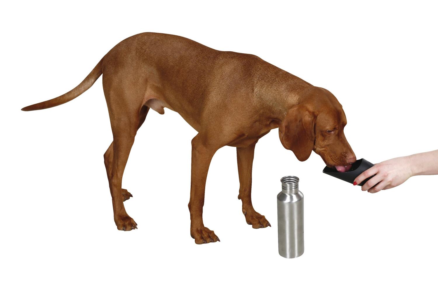 Kerbl Pet Ker-80505 - Stainless Steel Mobile Wather Bowl, 75-2