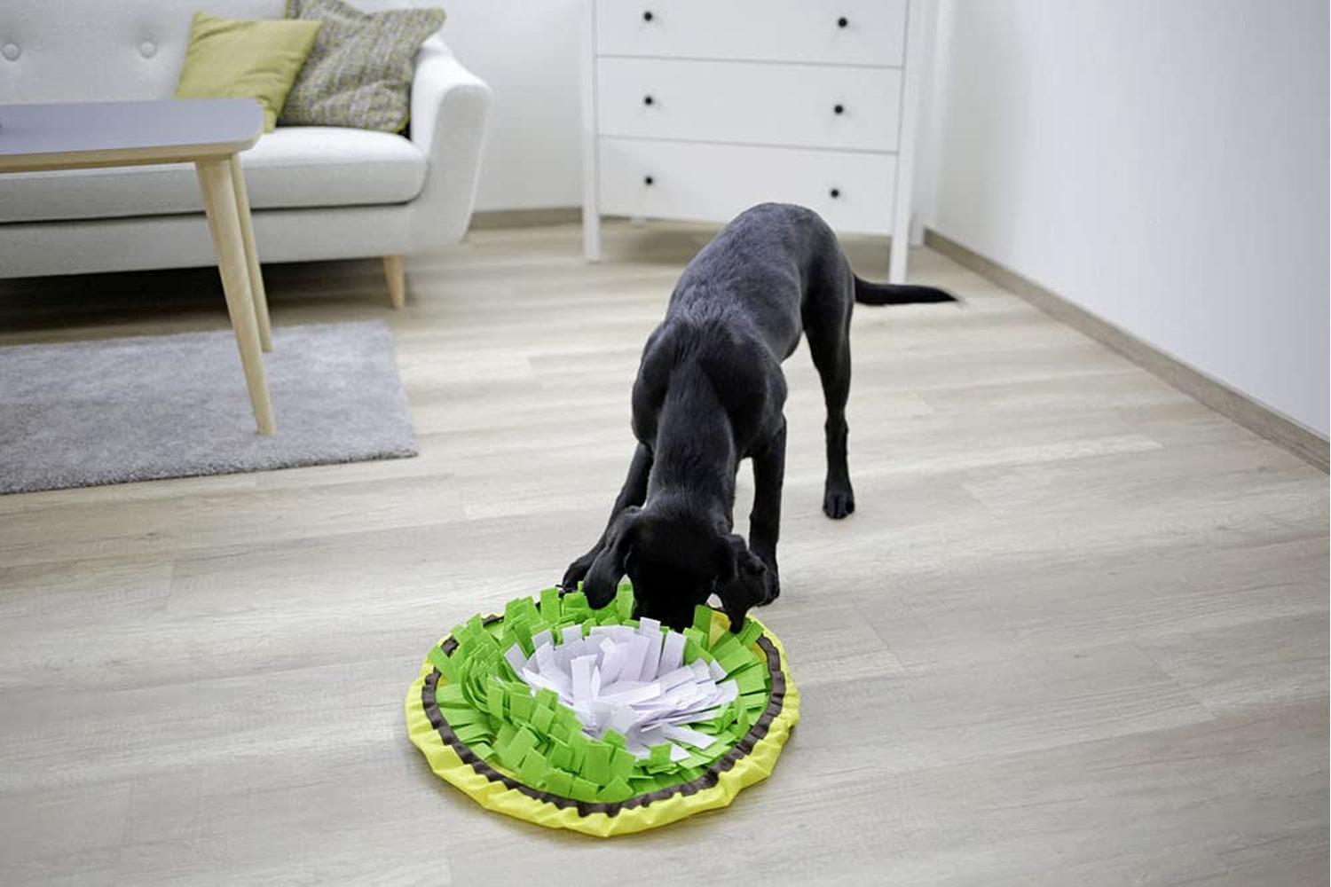 Kerbl Ker-80749 - Snuffle Mat Bowl Yellow/green/white,  60cm-3