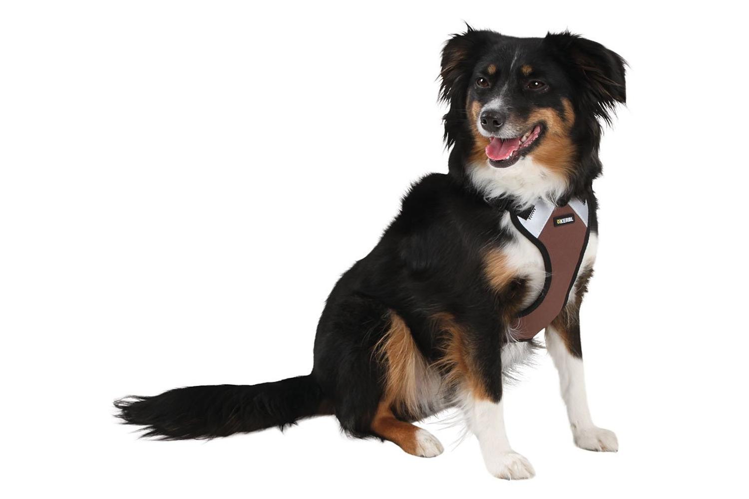 Kerbl Pet Ker-81019 - Harness Pulsive Brown 36-50 Cm, 46-60c-3