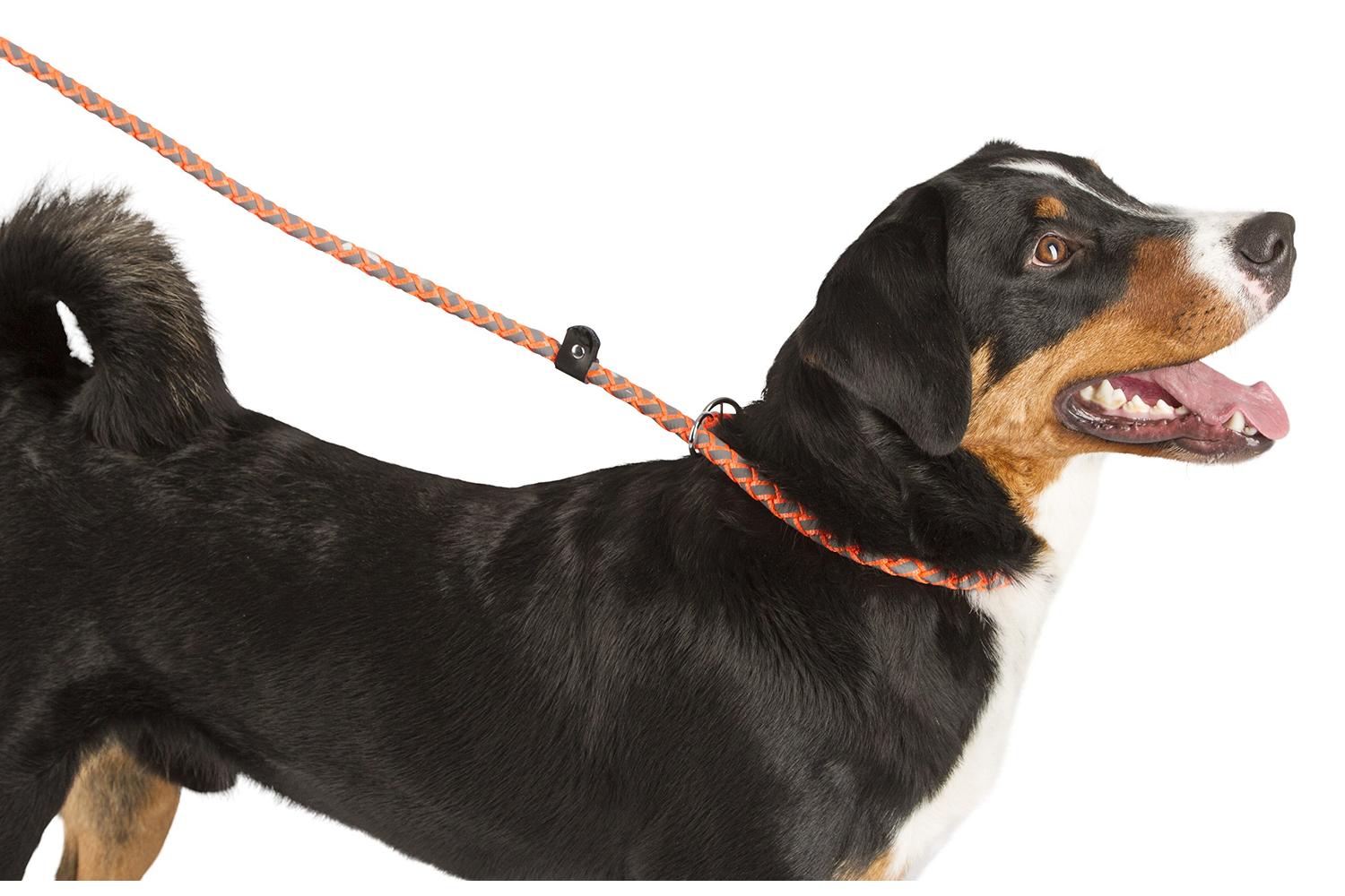 Kerbl Ker-81079 - Slip Leash Maxi Safe 170cm X 12mm, Neon Or-2