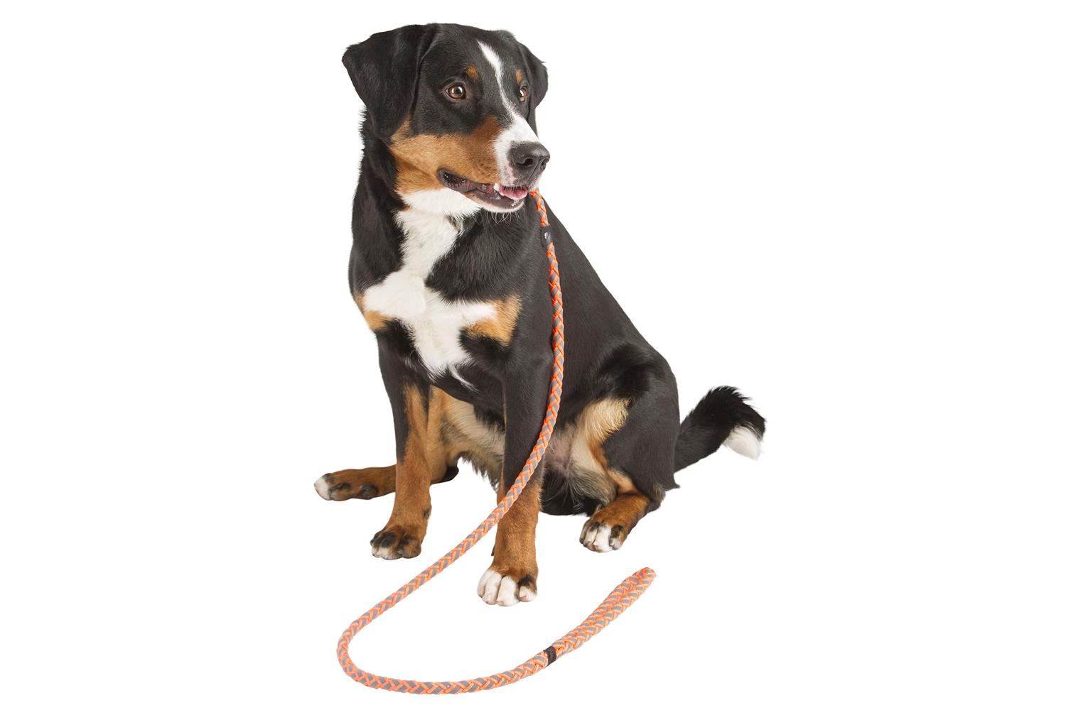 Kerbl Ker-81079 - Slip Leash Maxi Safe 170cm X 12mm, Neon Or-3