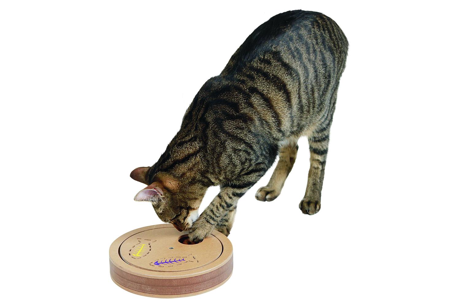 Kerbl Ker-82259 - Thinking And Learning Toy Exciting For Cat-2