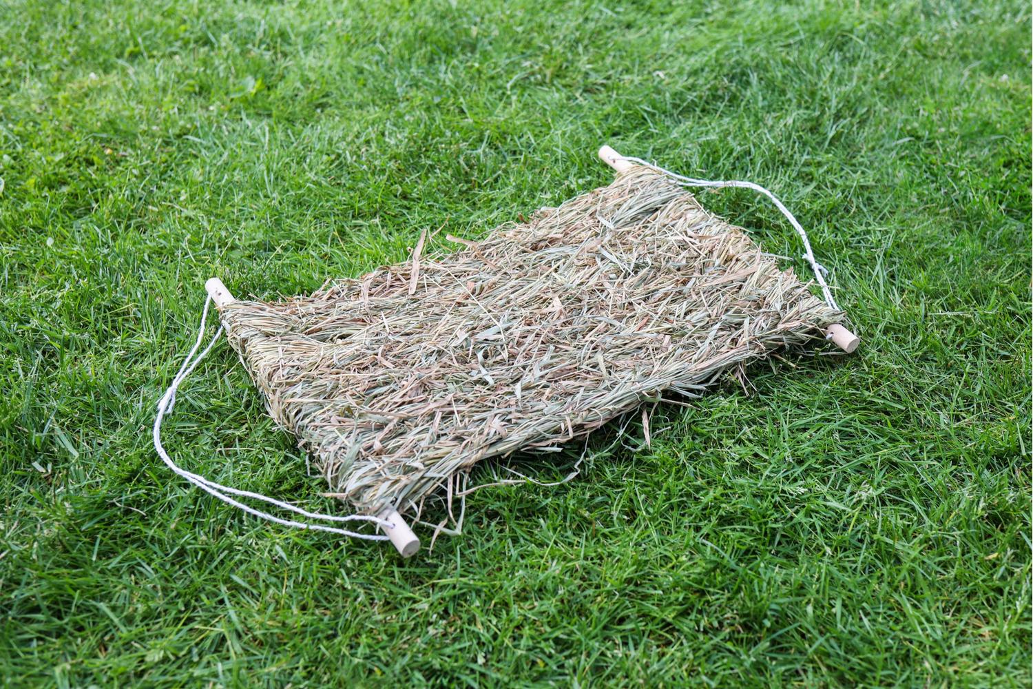 Kerbl Pet Ker-82797 - Spare Gras Mat 46 X 36 X 3,5 Cm-2