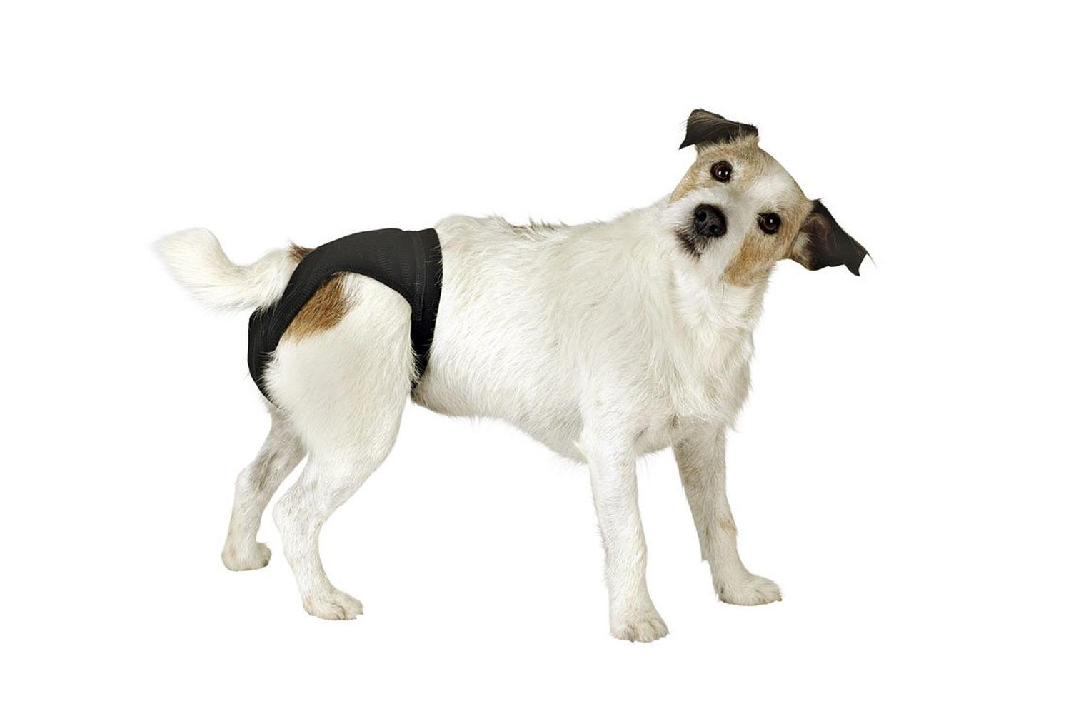 Kerbl Pet Ker-83443 - Luxury Pant Black, Size 5-2