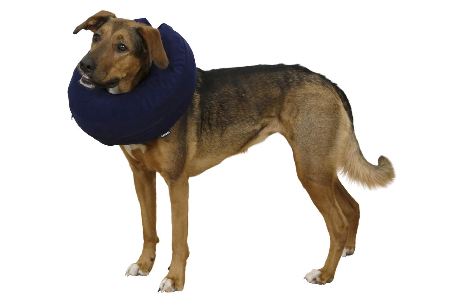 Kerbl Pet Ker-80835 - Dog Surg. Collar, Inflatable, Blue, Ne-2