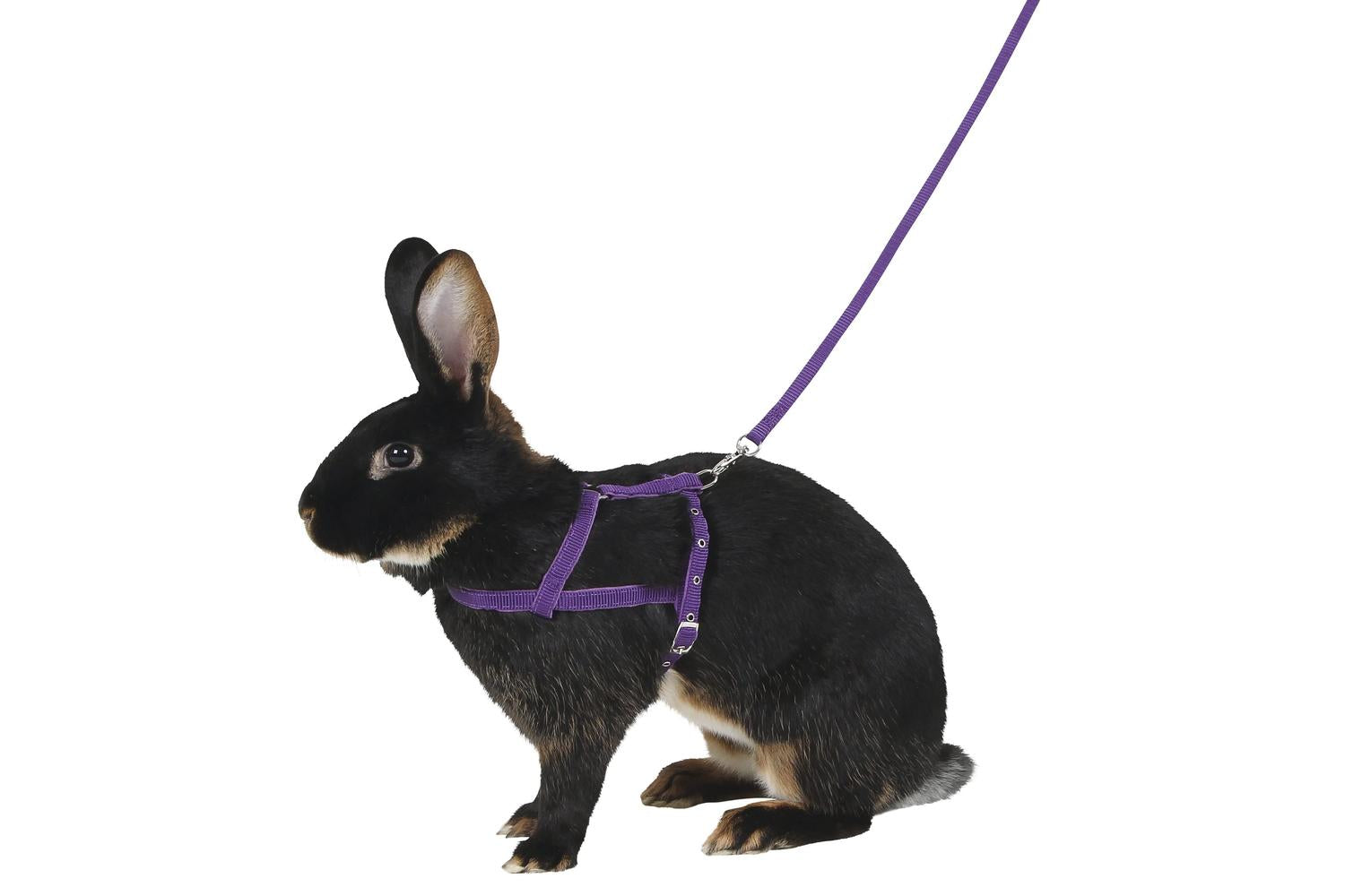 Kerbl Pet Ker-81761 - Shoulder Harness Agility With Leash 2m-2