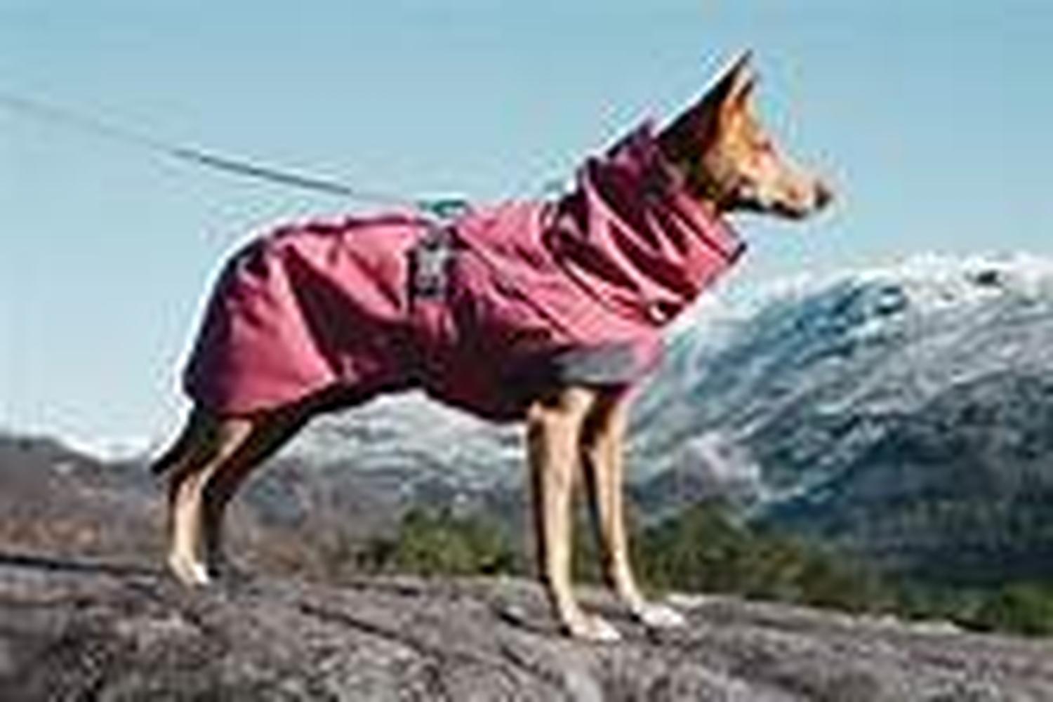 Stangest Sl Pei-933721 - Hurtta Expedition Parka Beetroot 30-2