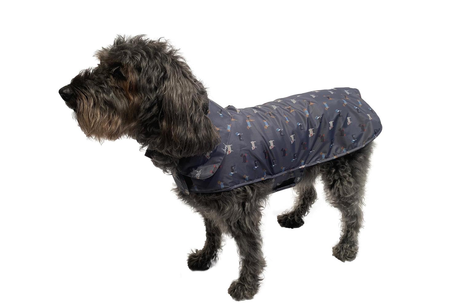 Beauty Water Pei-266759 - Danish Design Fatface Marching Dog