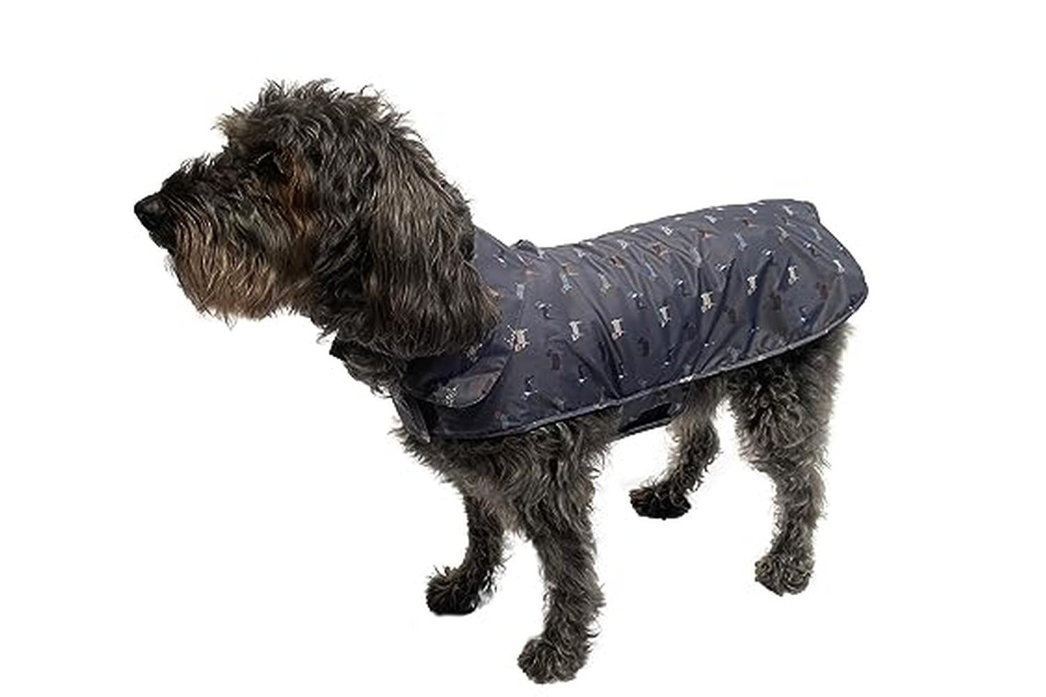 Beauty Water Pei-266759 - Danish Design Fatface Marching Dog-2
