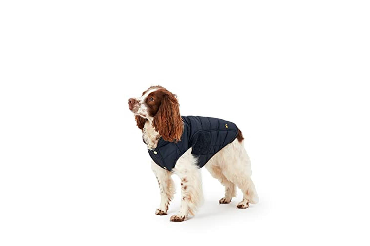 Rosewood Joules Pei-269840 - Joules Cherington Coat Large-2