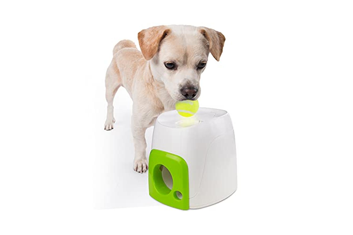 All For Paws Pei-30239 - All For Paws Interactives Dog Fetch-2