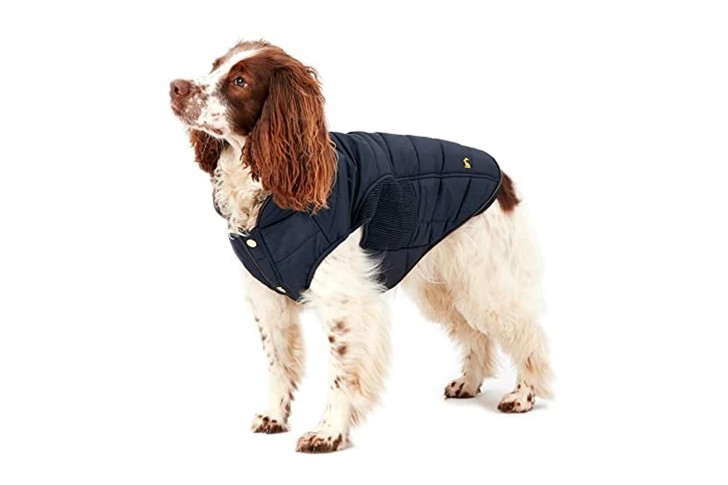 Rosewood Joules Pei-269839 - Joules Cherington Coat Medium-2