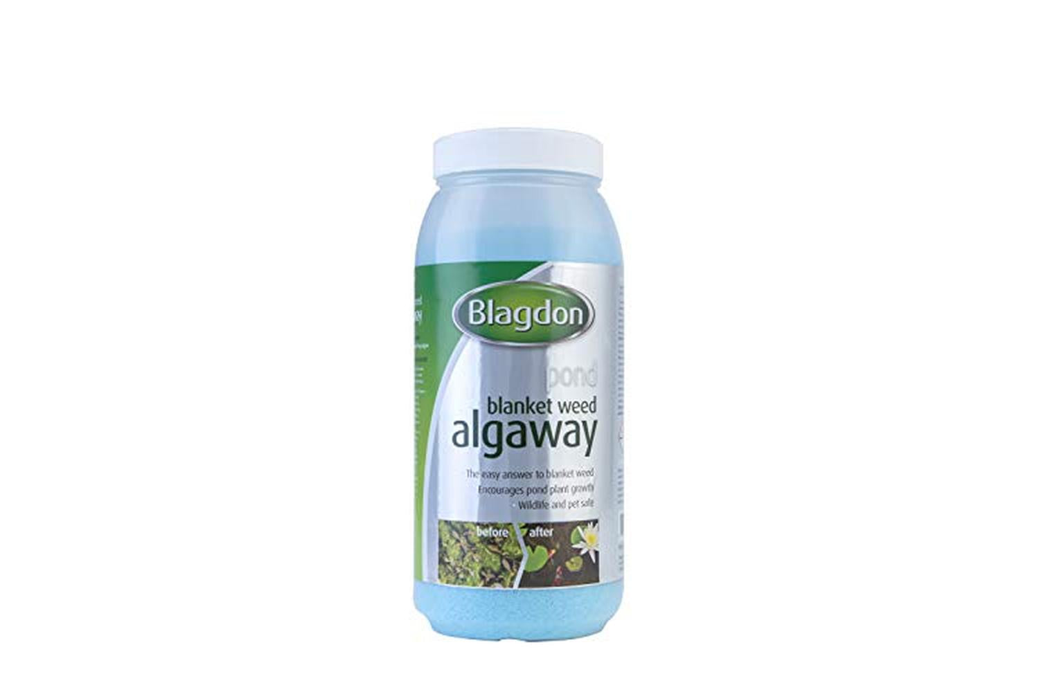 Blagdon Pei-640172 - Blagdon Pond Blanketweed Algaway Small-2
