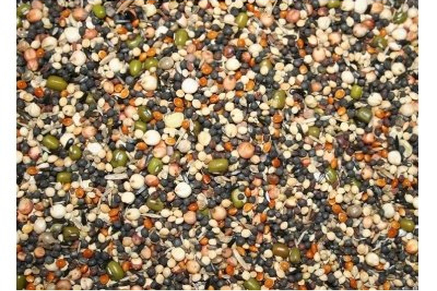 Walter Harrisons Pei-1523 - Soak Seed 12.5kg
