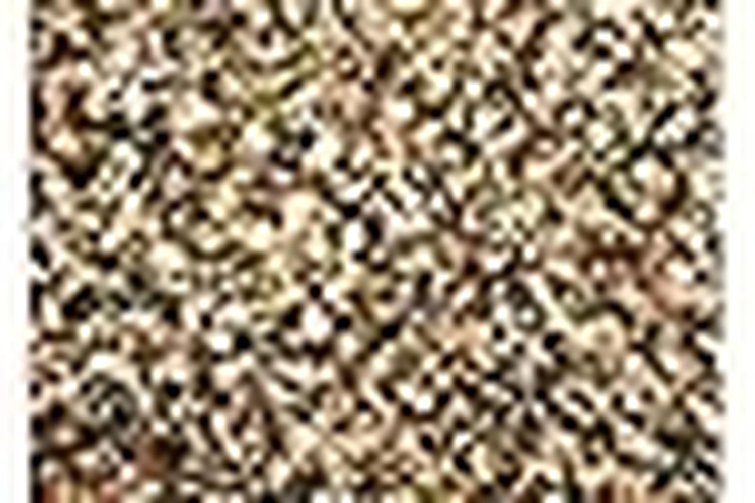 Walter Harrisons Pei-1523 - Soak Seed 12.5kg-2