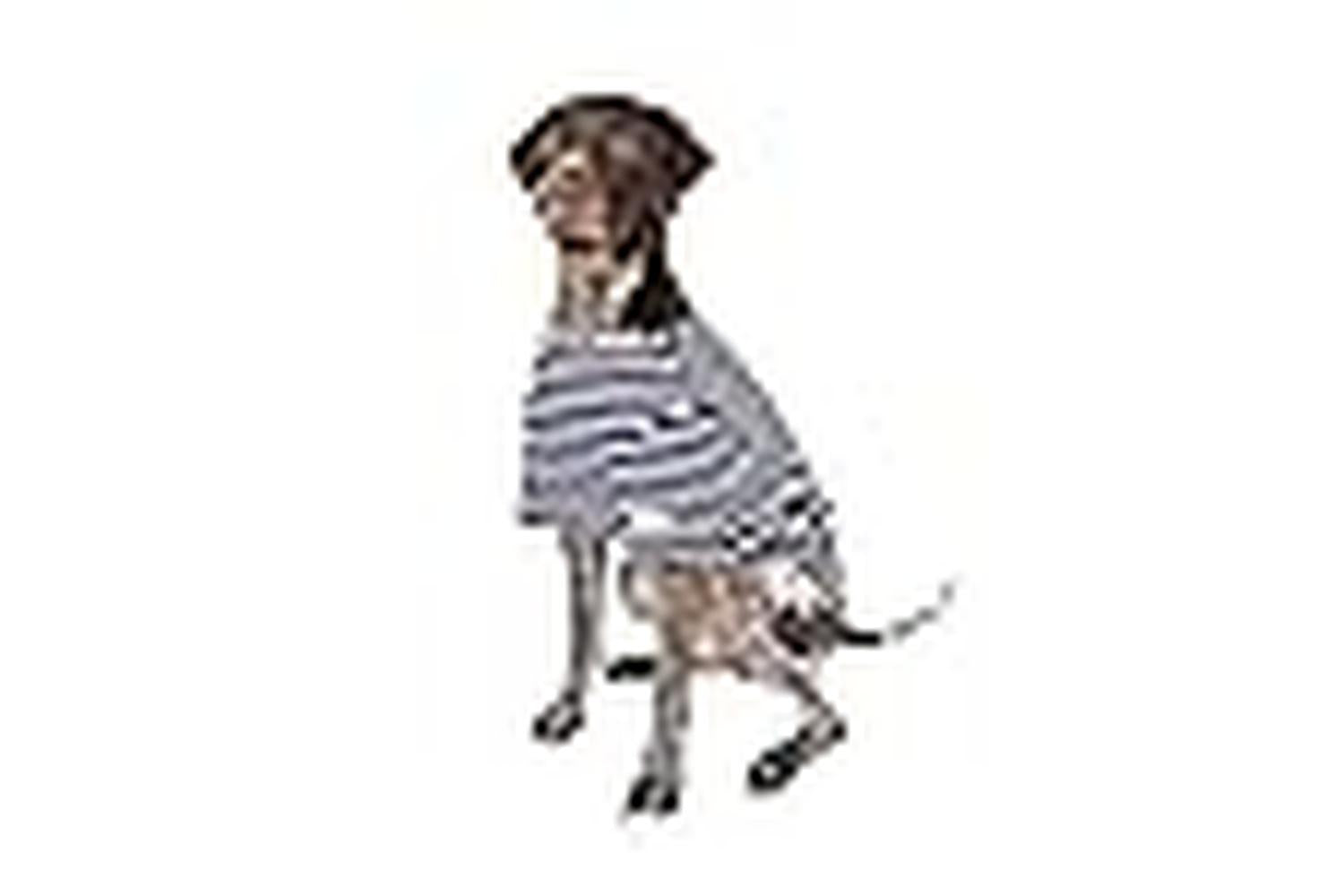 Rosewood Joules Pei-267174 - Joules Harbour Top Xl-3