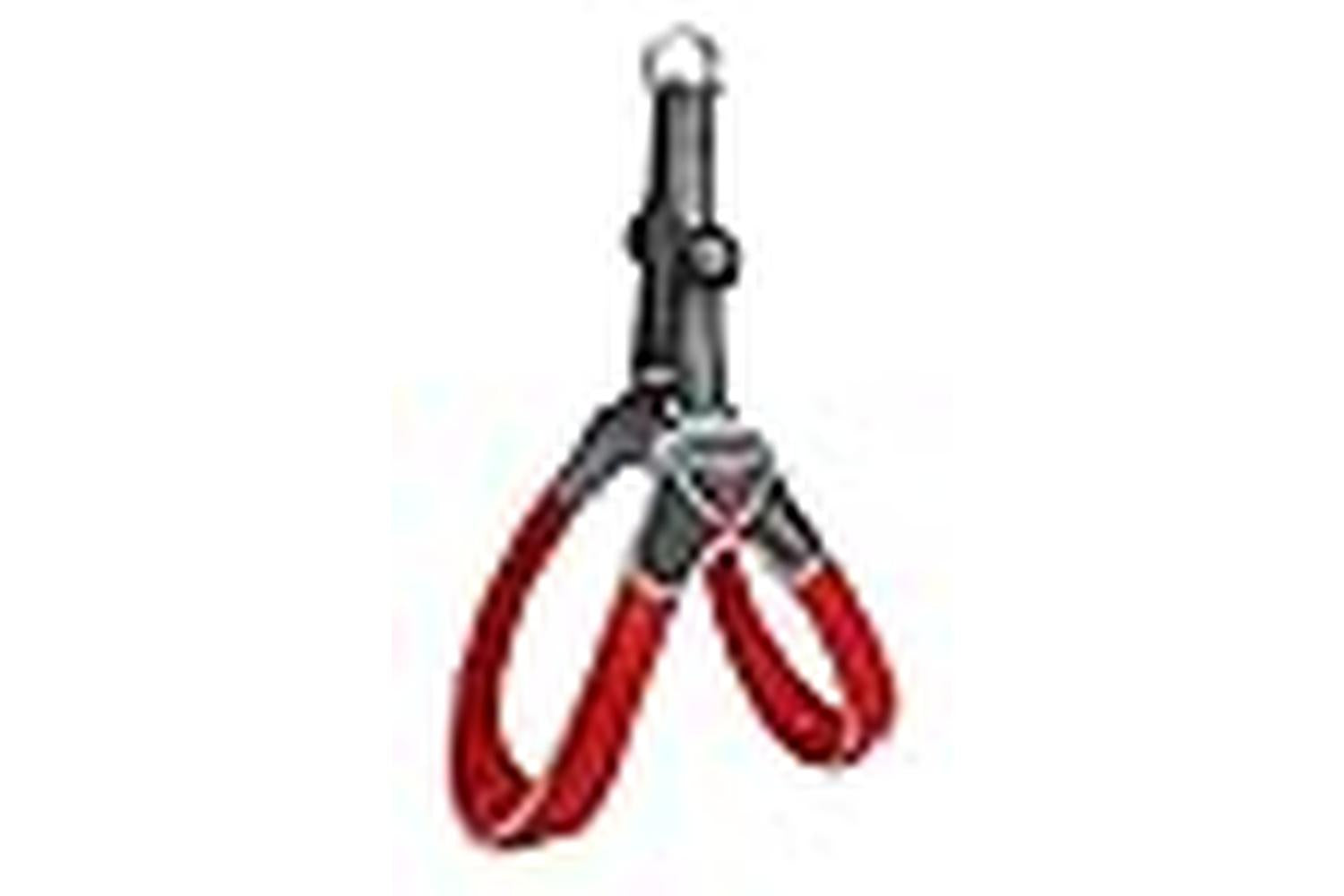 Coralpina Pei-261139 - Coralpina Harness Cinquetorri Red Siz-3