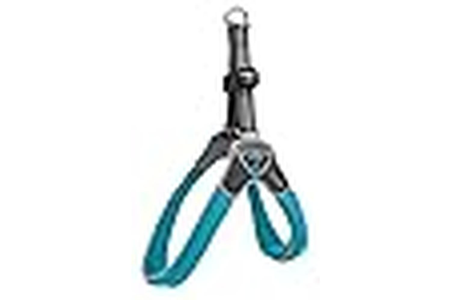 Coralpina Pei-261149 - Coralpina Harness Cinquetorri Turquoi-3